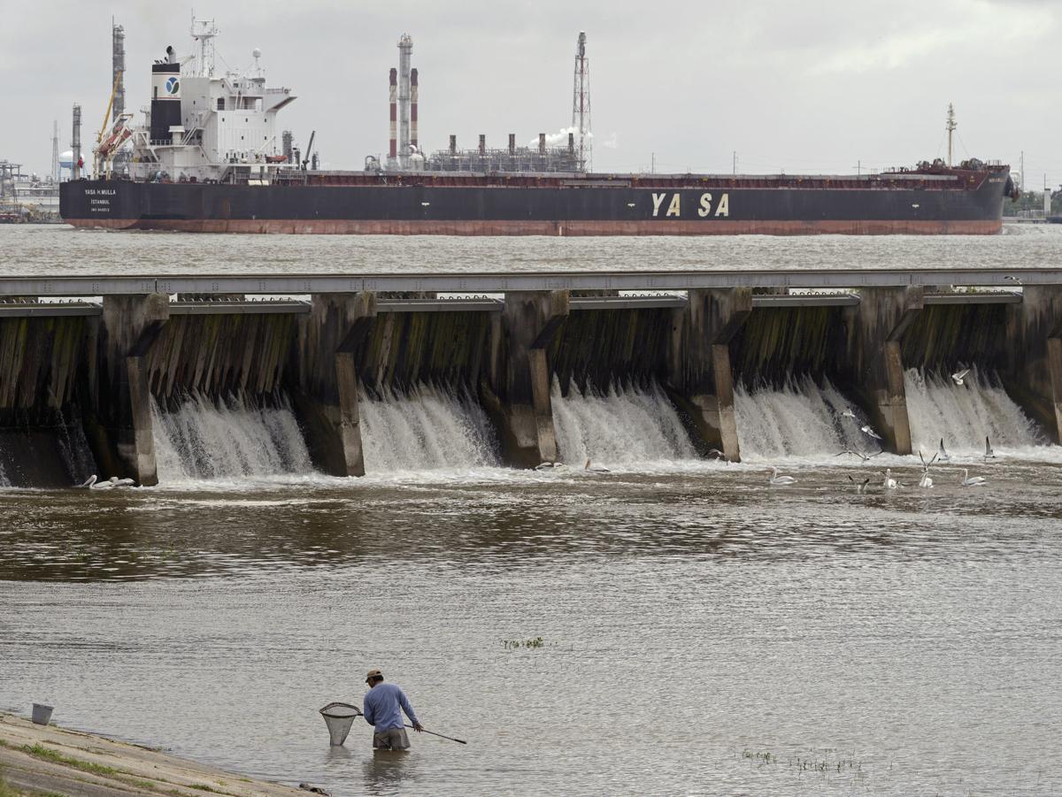 Algae Blooms and Midge Swarm Update in Louisiana - Waltzer ...