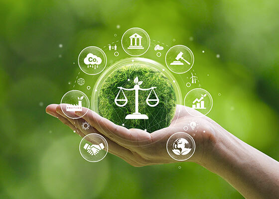 Hand holding a green sphere with eco-friendly icons symbolizing environmental law